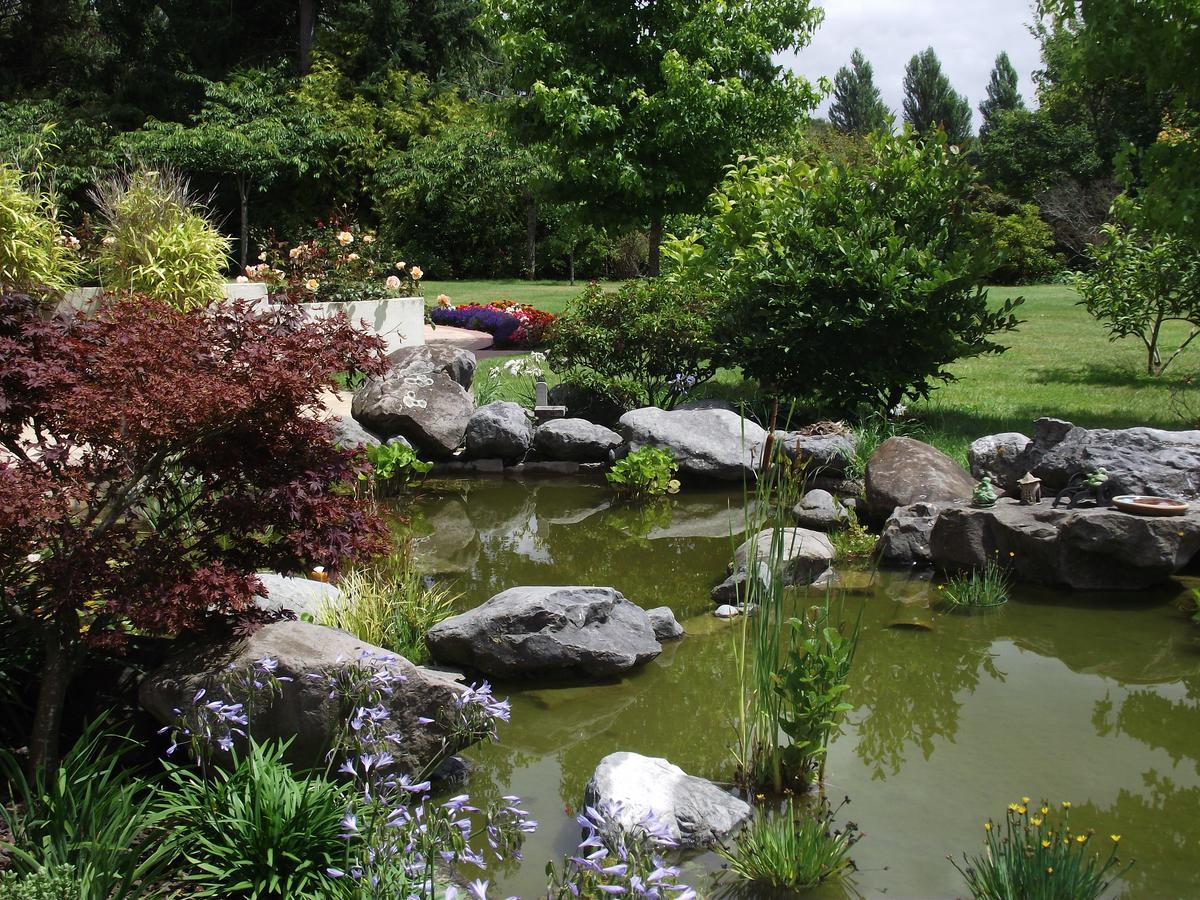 Shamrock Garden B&B Airport Christchurch Exterior photo