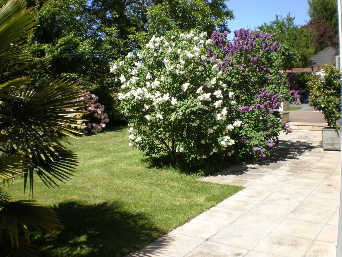 Shamrock Garden B&B Airport Christchurch Exterior photo