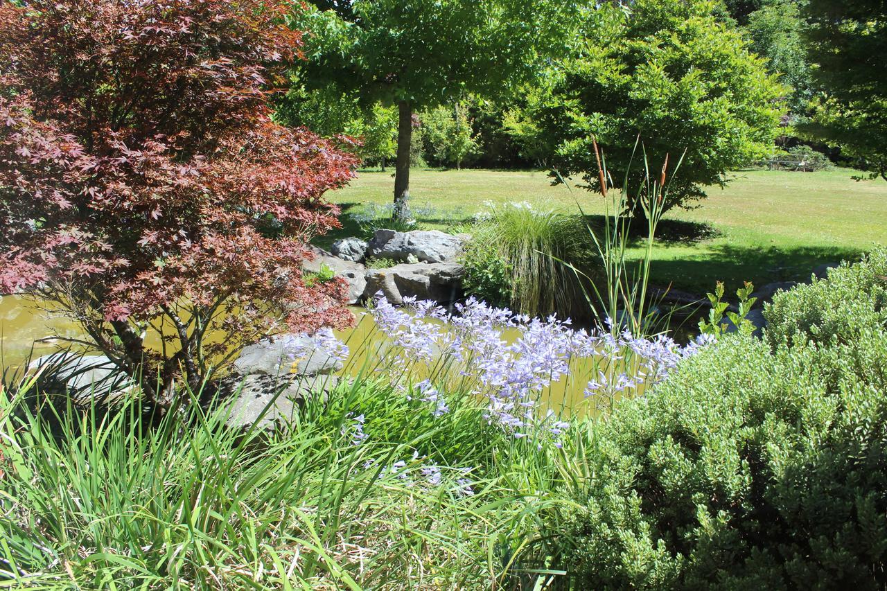 Shamrock Garden B&B Airport Christchurch Exterior photo